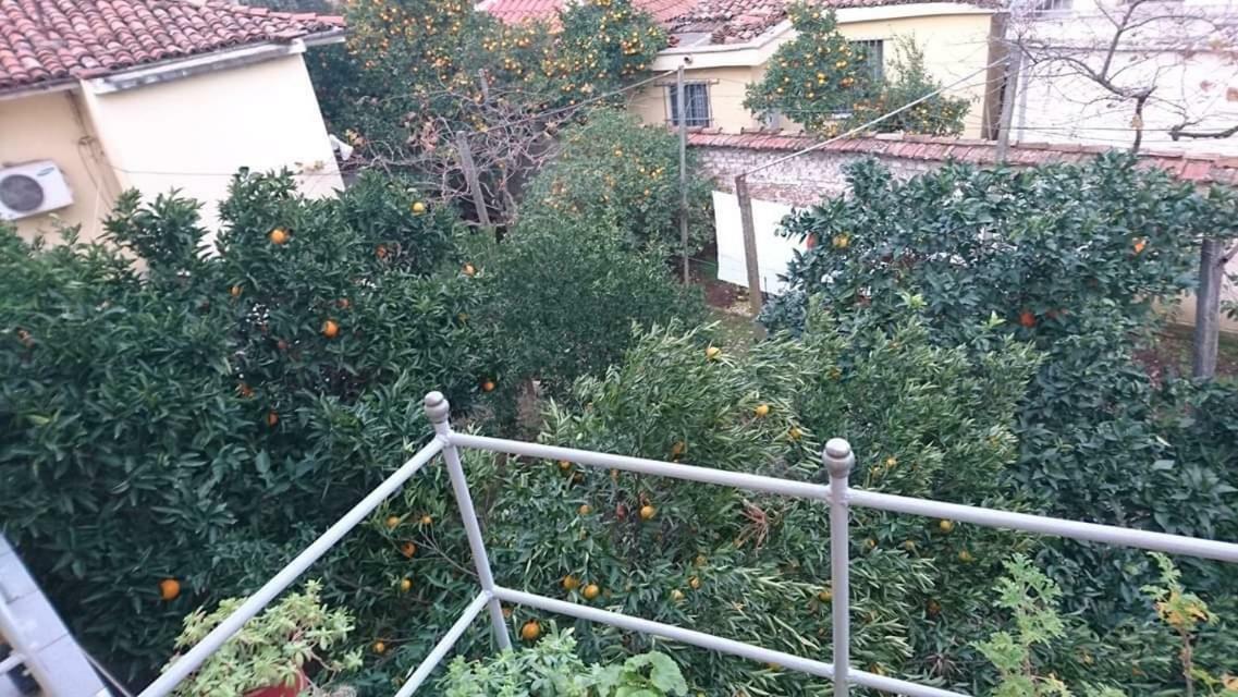 Orange Villa Hotel 地拉那 外观 照片